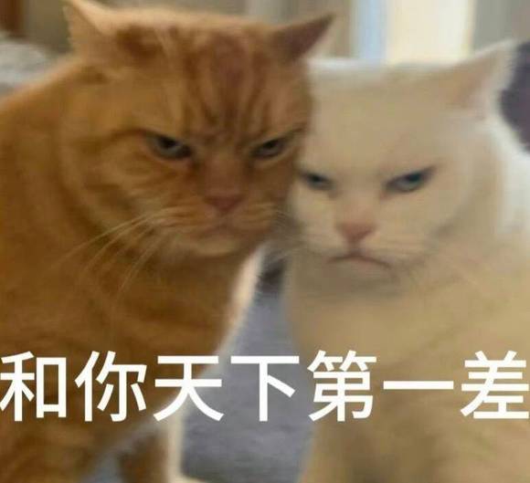 c17a0257f33e0d8f428e26aaa32959ad